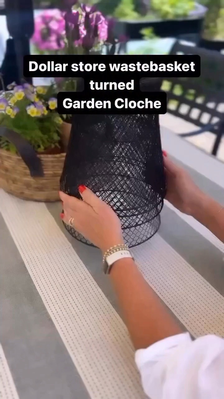 WEEKENDS IN THE GARDEN👩🏼‍🌾This DIY back by popular demand! 

@dollartree wastebasket turned Garden Cloche💚
Comment GARDEN for all the supplies I used! (You must be following me to receive the link from Instagram)

SHARE with all your gardening friends

FOLLOW for a new gardening tip every weekend thru the Summer!

SAVE so you don’t forget!

I LOVE Garden cloches, but at $30+ each..! needed to find another option! They’re perfect to protect new plants and starts in your garden 🥦🥬

You can cinch them down with some wire if needed!
These $1.25 wire wastebaskets are perfect, and adding
the knob just takes them up a notch! 

I’ve also linked some wastebaskets on Amazon too! 

Garden hack, gardening tip, garden girl, cloche