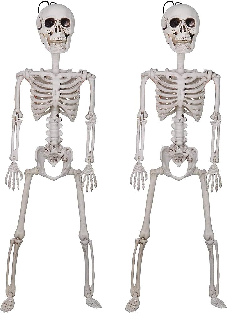 JOYIN 2 Halloween Decoration 24” Pose-N-Stay Full Body Skeleton Plastic Bone with Posable Joint... | Amazon (US)