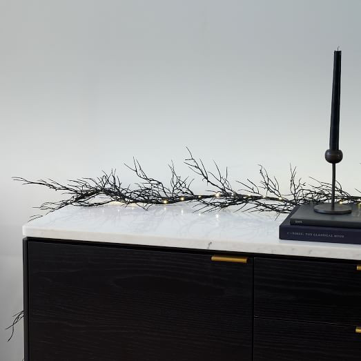 Black Fan Palm | West Elm (US)