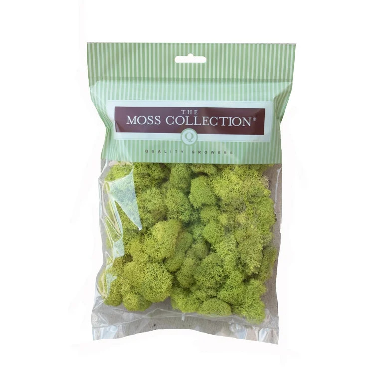 Preserved Reindeer Moss (Chartreuse/Small) | Walmart (US)