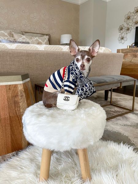 The cutest pet cardigan! I can’t link it but this pet scarf is from Shop Lou’s Closet!

Dog clothes, dog sweater, dog scarf 

#LTKunder50 #LTKSeasonal #LTKfamily