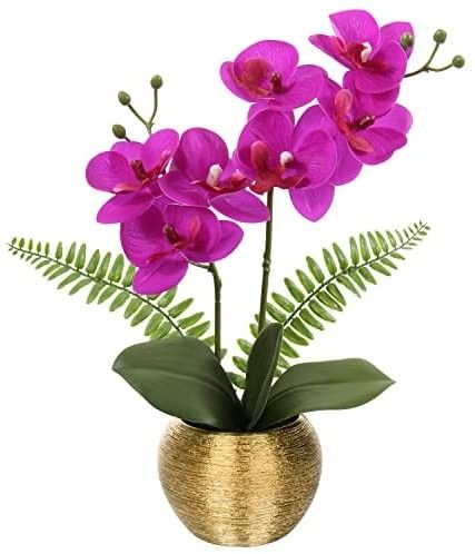 Artificial Orchid Pink Amazon finds Amazon deals Amazon sales | Amazon (US)