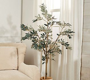 5' Faux Olive Leaf Tree in Starter Pot by Valerie | QVC