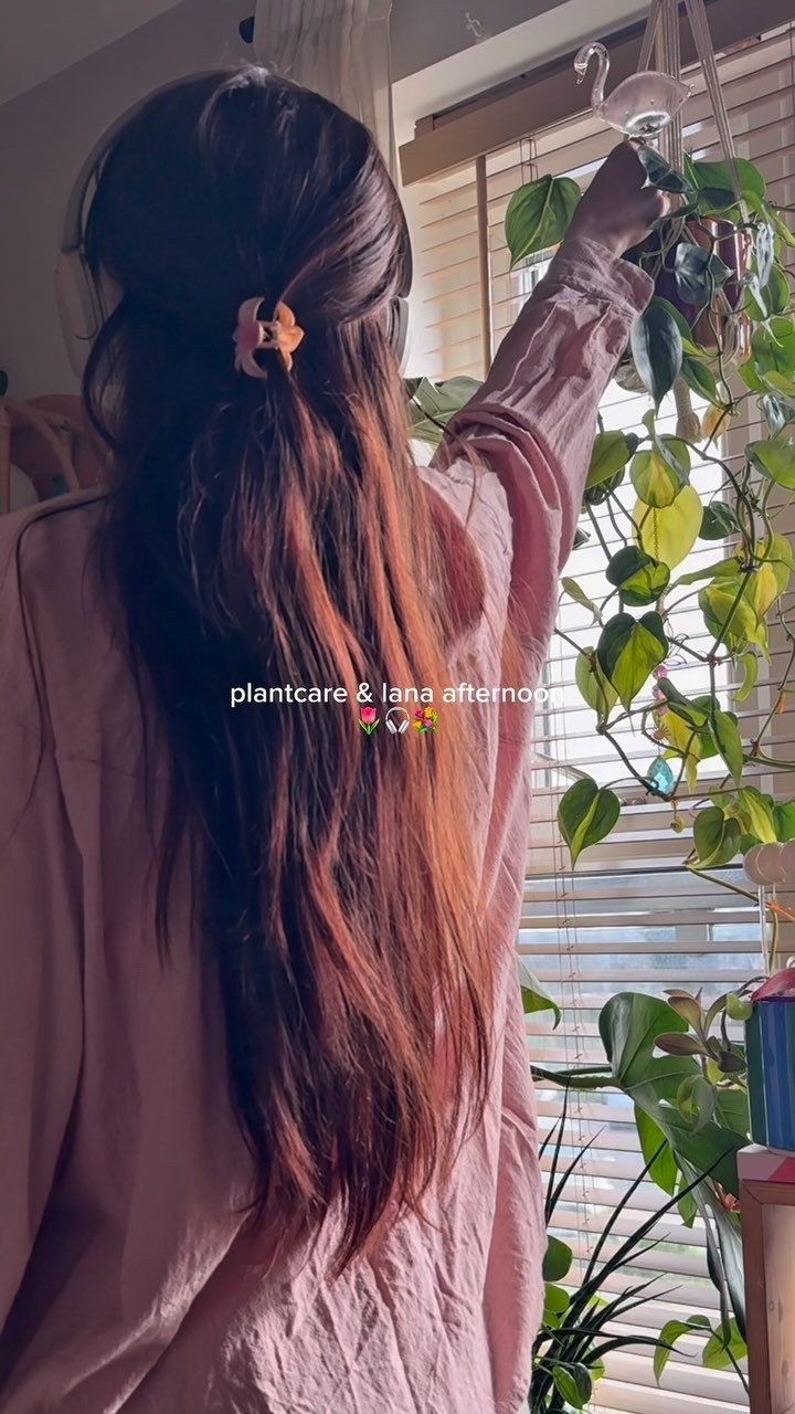 plant mom afternoon 🌷