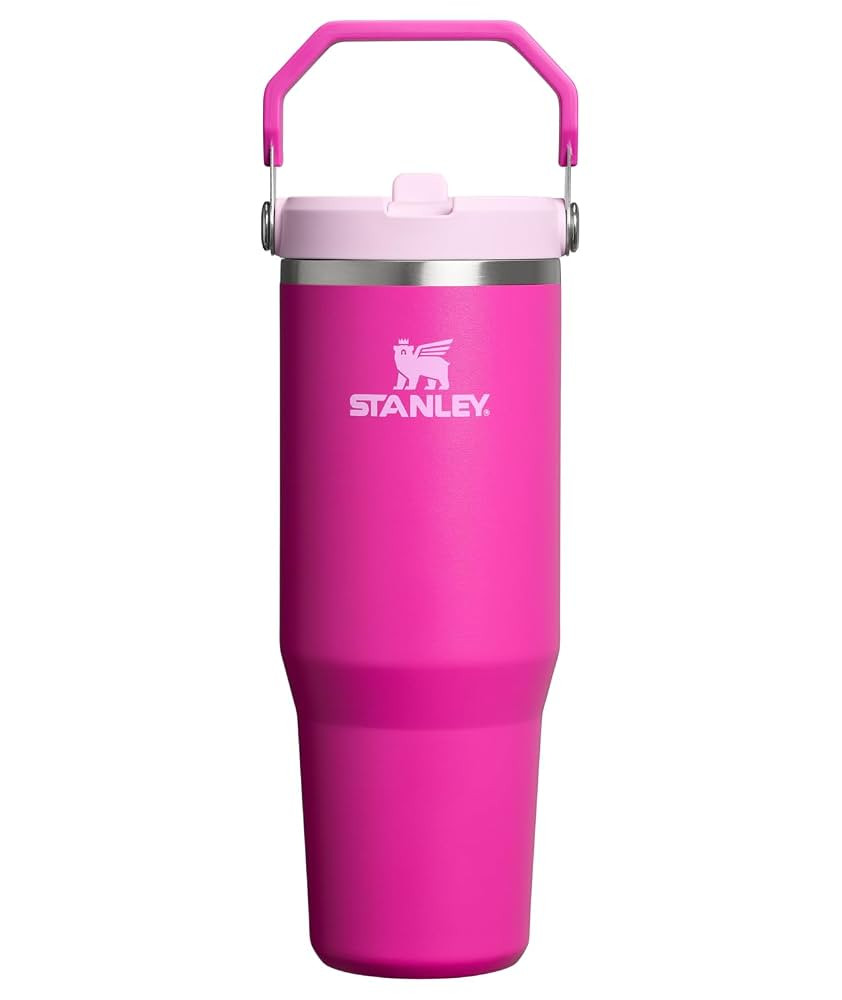 Stanley IceFlow 2.0 Flip Straw Tumbler with Handle 30 oz | Twist On Lid and Flip Up Straw | Leak ... | Amazon (US)