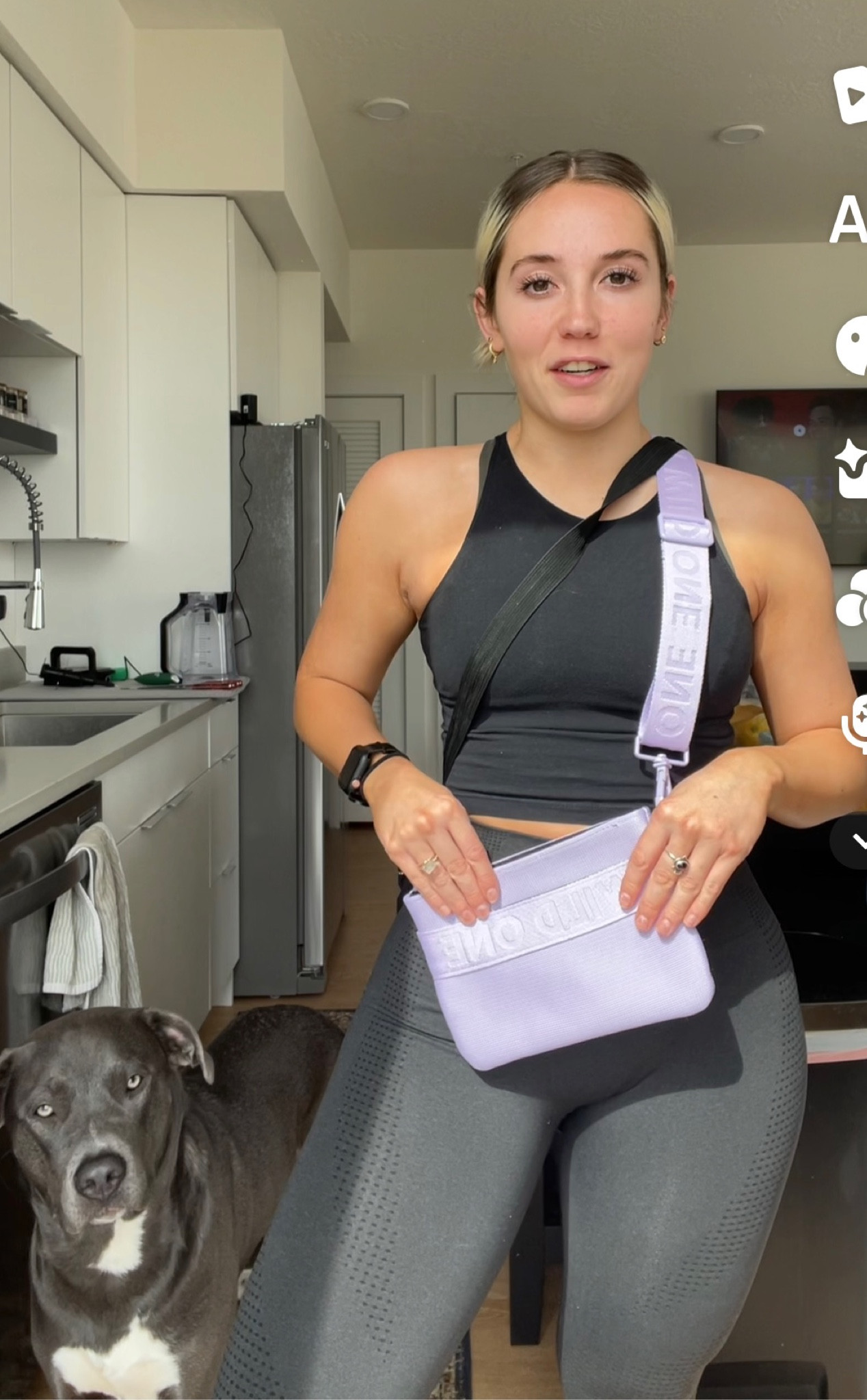 Wild One dog treat pouch in Lilac  