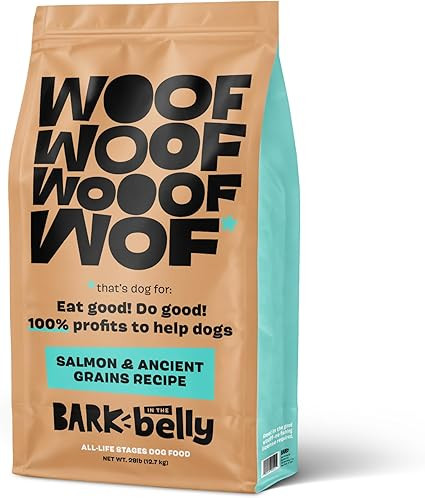 Bark in The Belly Salmon & Ancient Grains Recipe Premium Dog Food - 28lb Bag | Amazon (US)