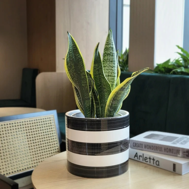 Mainstays Andrew 7.8" x 7.8" x 6.9" Round Rich Black and Arctic White Ceramic Planter | Walmart (US)