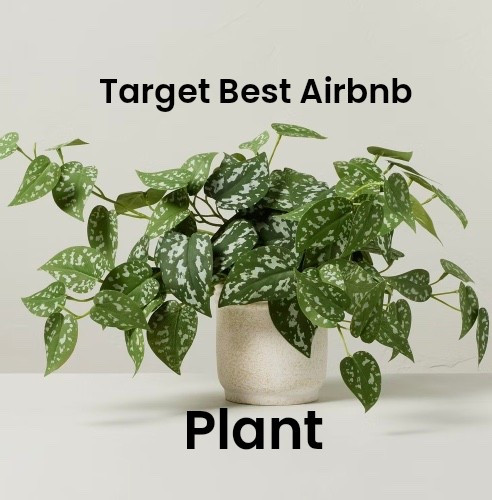 Every Airbnb needs that one plant that instantly makes the space feel fresh and welcoming — this Target find does exactly that. It adds life, color, and calm without the upkeep of the real thing. Guests notice details like this.

shop this plant on LTK @target

#airbnbdesign #targetfinds #rentalstyle #interiordesign #hosttips #plantdecor #airbnbhosting #amandaandcodesign

#LTKHome #LTKStyleTip