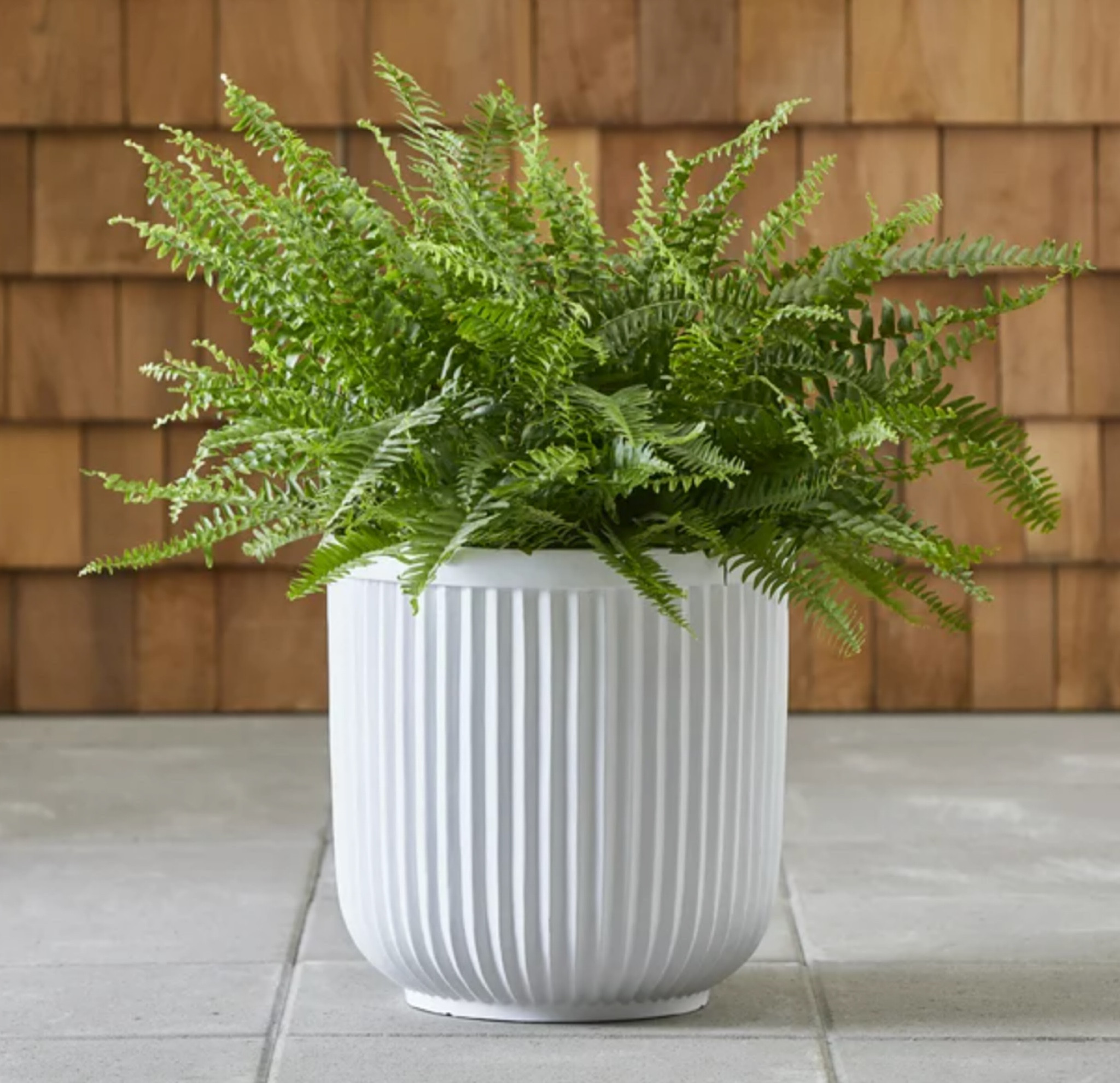Fluted white planter, faux fern plant, outdoor decor, patio decor

#LTKhome