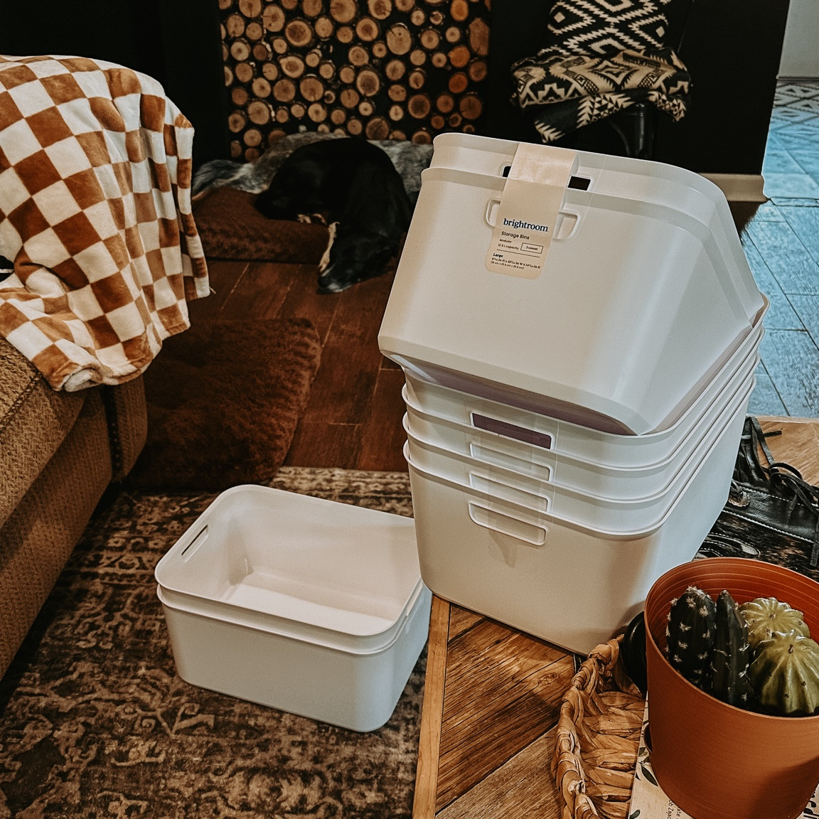 #organize 

#LTKHome #LTKFindsUnder50 #LTKFamily