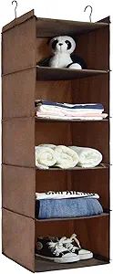 DonYeco 5-Shelf Hanging Storage Closet Organizer, Oxford Rv Storage and Organization for Wardrobe... | Amazon (US)