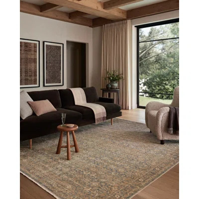 Amber Lewis x Loloi Molly Denim / Gold Area Rug | Wayfair North America