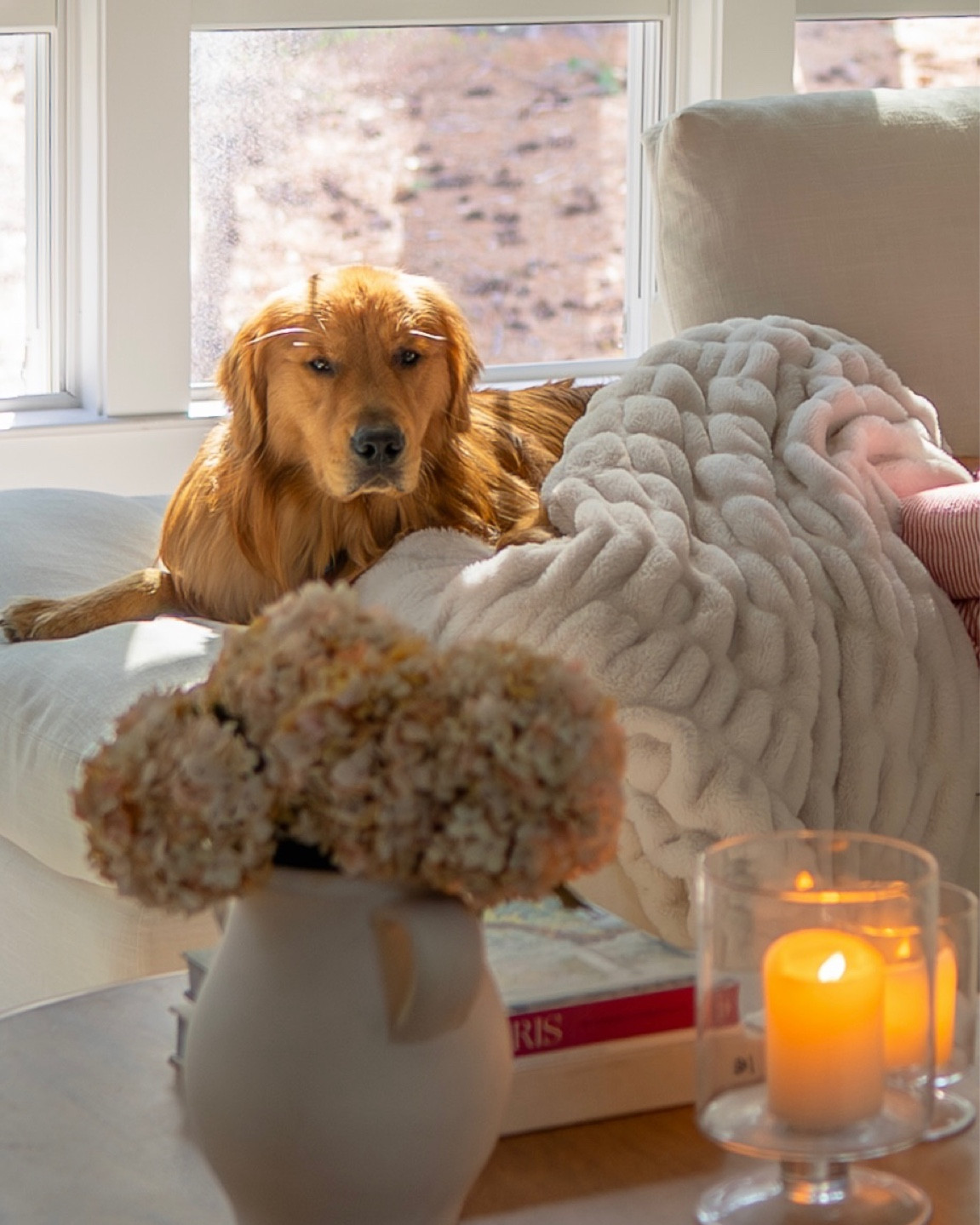 the softest blanket of allll time ☁️ my code is BLAKE for 30% off!

#LTKhome