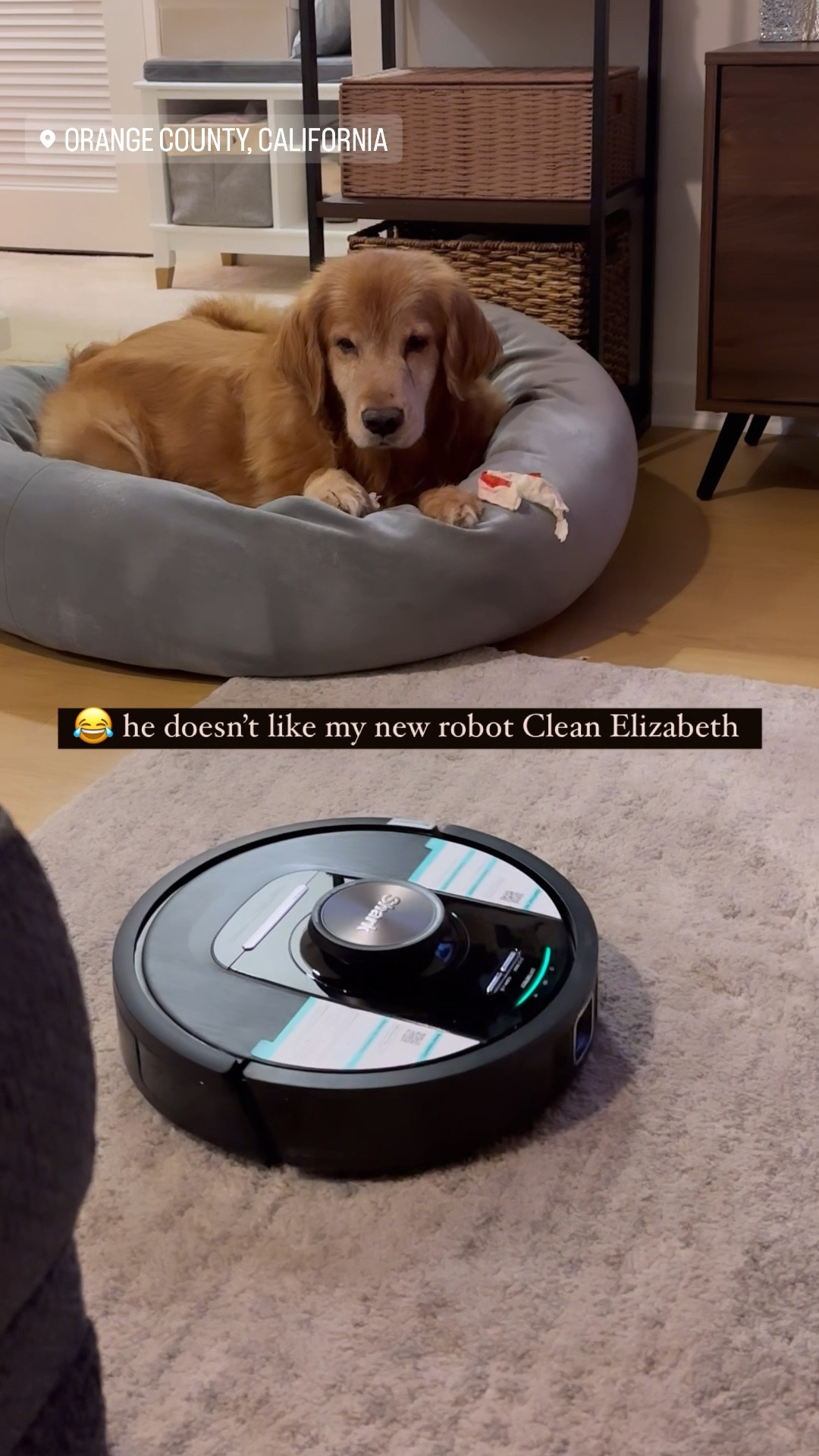 order now. I’m in love. robot vacuum, carpet, rugs, floor, cleaning, 

#LTKsalealert #LTKhome #LTKVideo