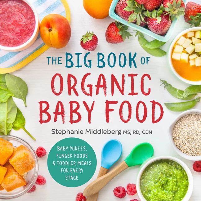 The Big Book of Organic Baby Food | Walmart (US)