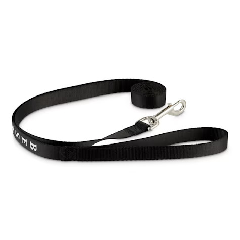 Bond & Co. Best Pup Dog Leash, 6 ft. | Petco