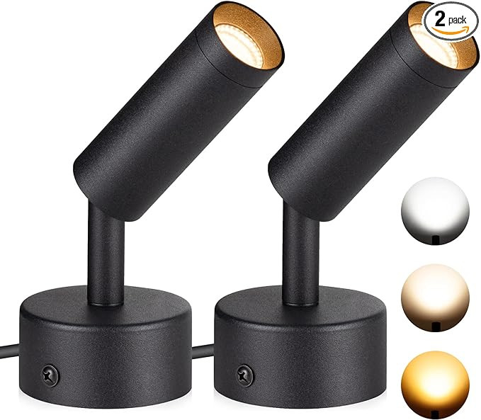 SUNVIE 2 Pack LED Spot Lights 3000K/4000K/5000K Adjustable Dimmable Floor Spotlight Lamp for Plan... | Amazon (US)