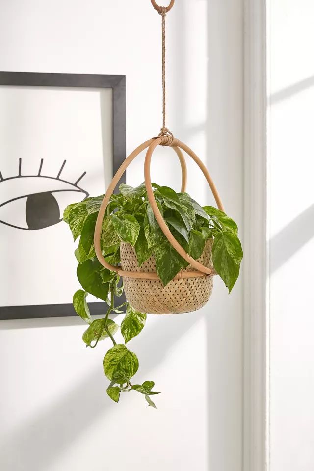 Margot 7" Hanging Planter | Urban Outfitters (US and RoW)