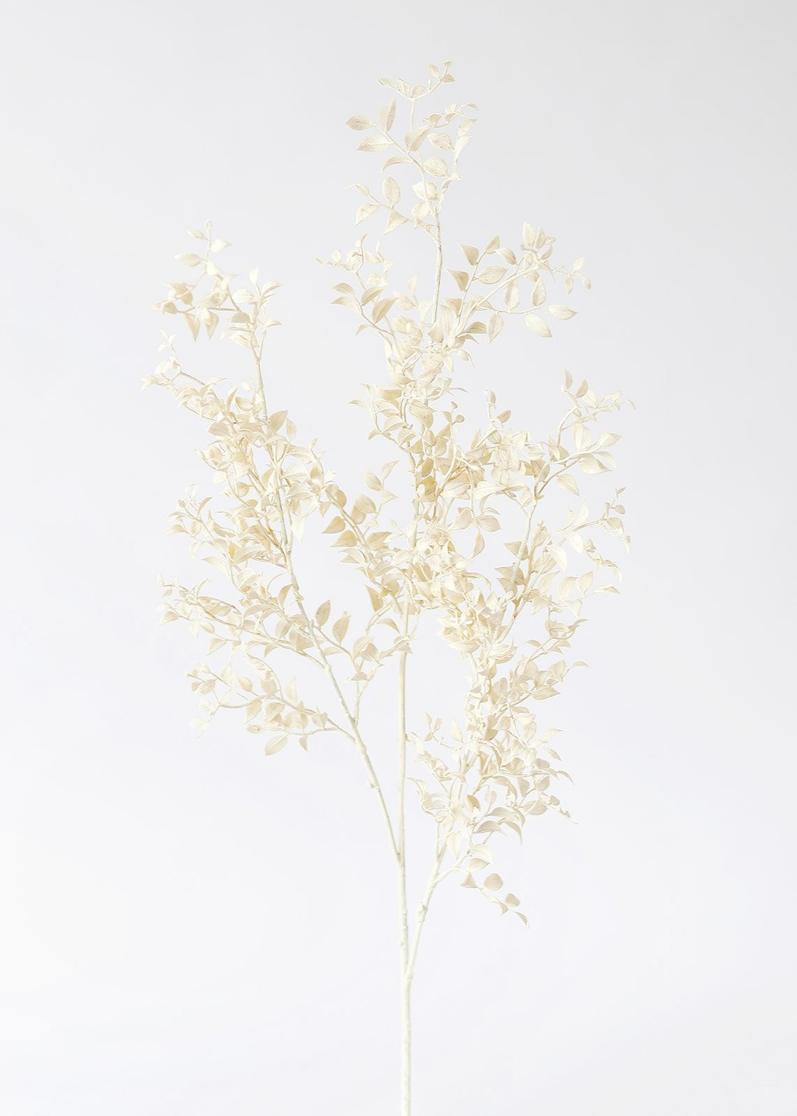 Cream Beige Artificial Ruscus Leaves Branch - 35" | Afloral (US)