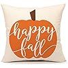 4TH Emotion Happy Fall Pumpkin Halloween Throw Pillow Cover Farmhouse Autumn Cushion Case for Sof... | Amazon (US)