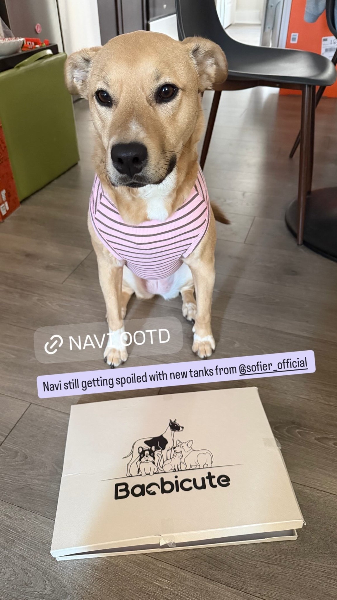 Navi still getting spoiled with new tanks from @sofier_official