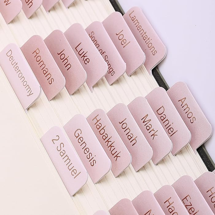 Mr. Pen- Bible Tabs, 75 Tabs, Pink Shades, Gold Foil Lettering, Laminated Bible Tabs for Women an... | Amazon (US)