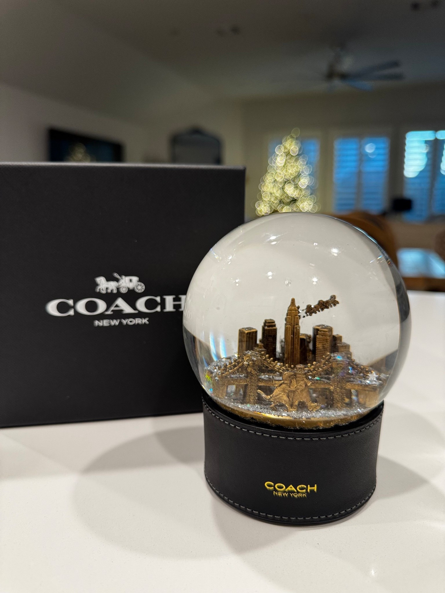 The cutest Coach snow globe! #coach #rexy # Christmas

#LTKHoliday #LTKGiftGuide #LTKSeasonal