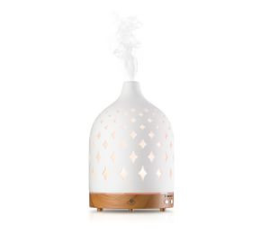 Supernova Diffuser | Pottery Barn (US)