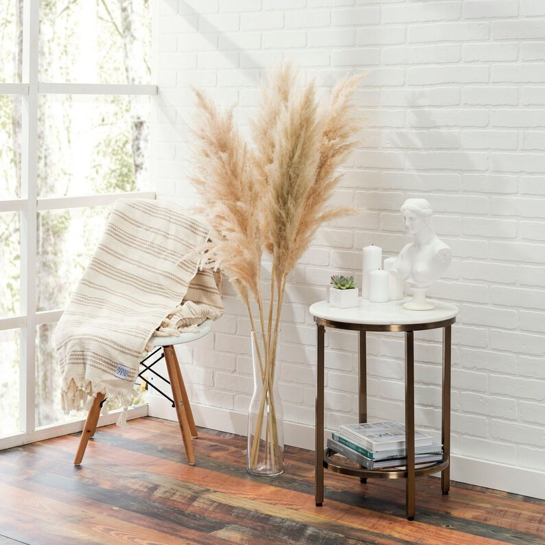 3 Gorgeous High Quality Pampas Grass Stems  - Pampas Grass Dried pack of 3 - Preserved Natural Pa... | Etsy (US)