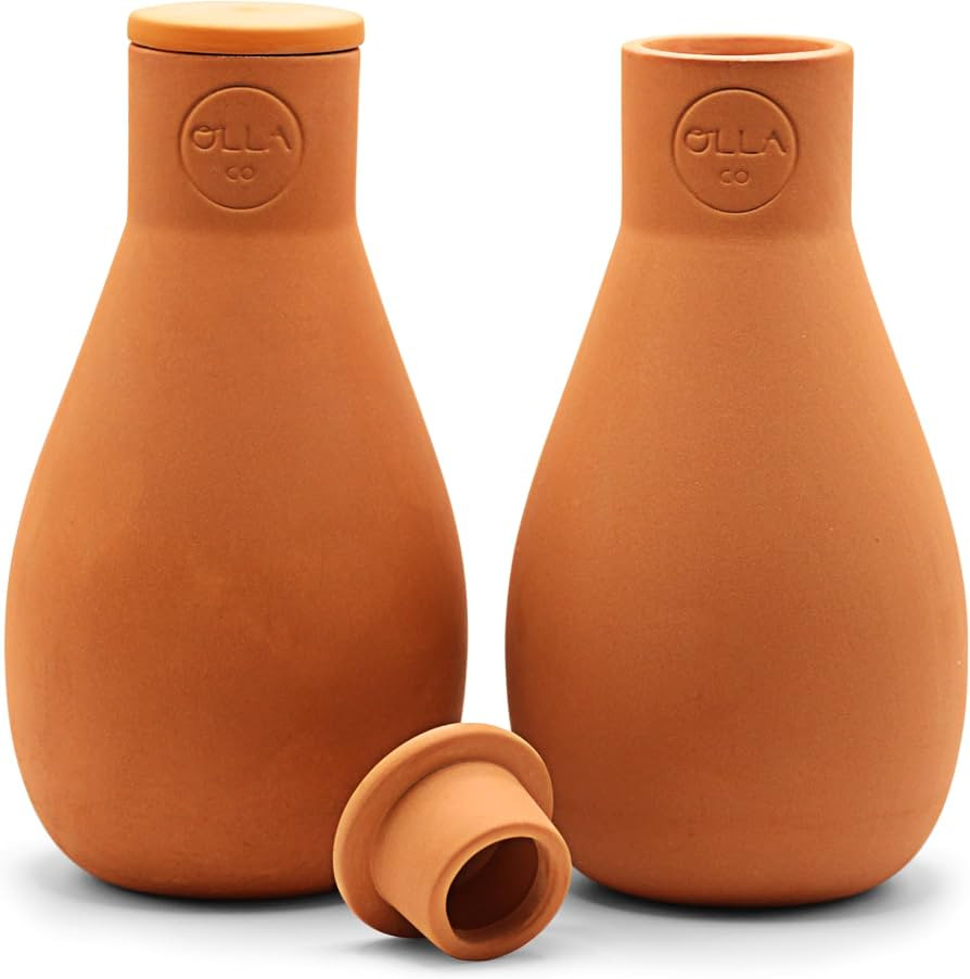 Olla Watering Pots with Lids, Terracotta Mini 2 Pack     Waters plants up to 1 ft in diameter; fo... | Amazon (US)