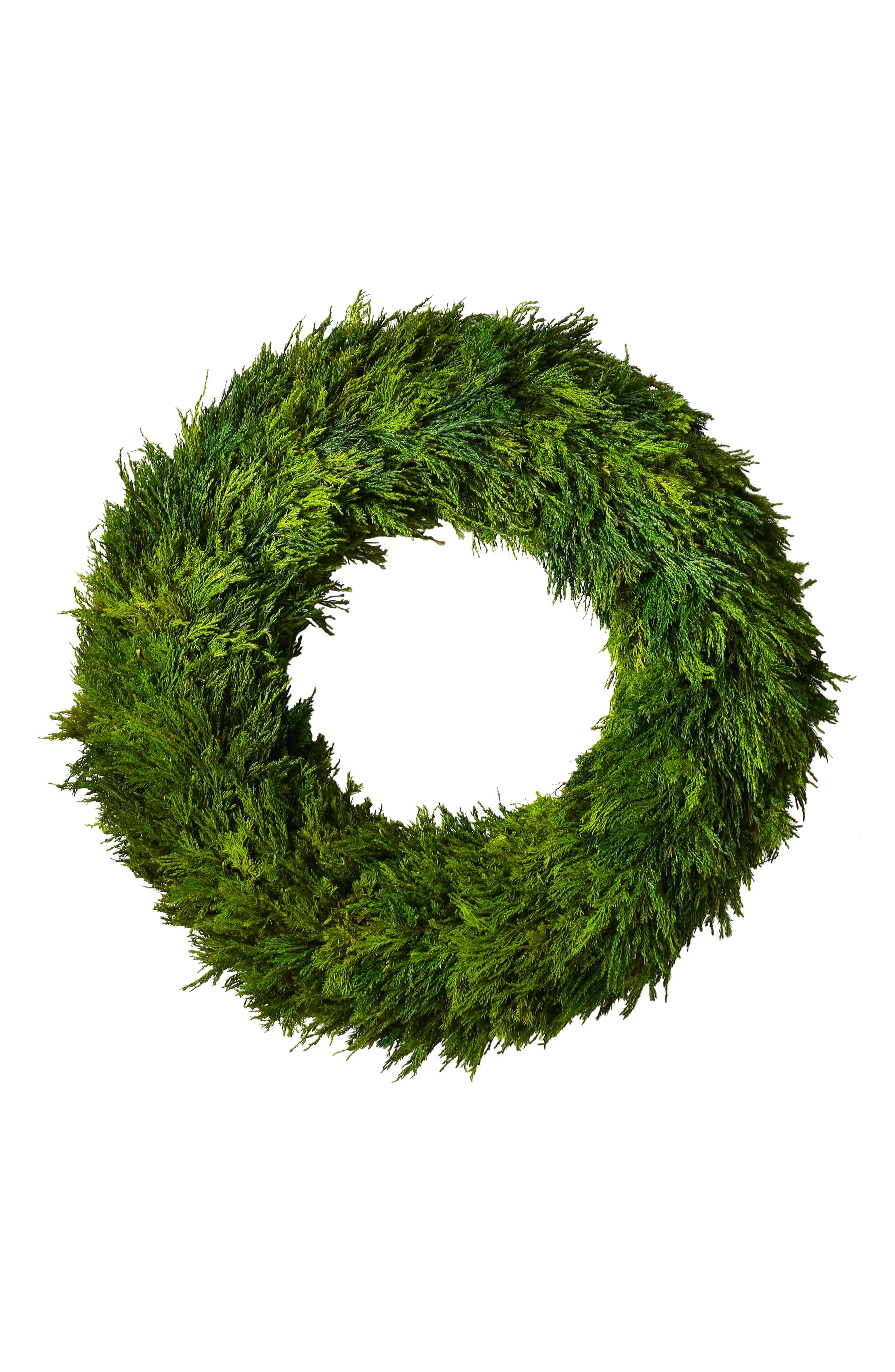 Accent Decor Cypress Wreath | Nordstrom