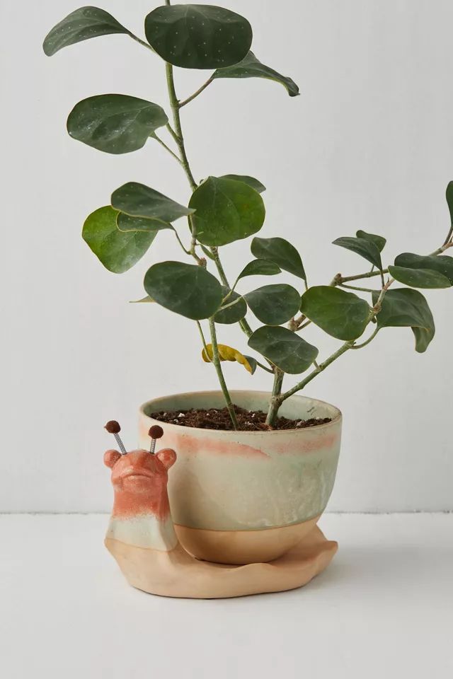 Stoneware Snail Planter Set | Urban Outfitters (US and RoW)