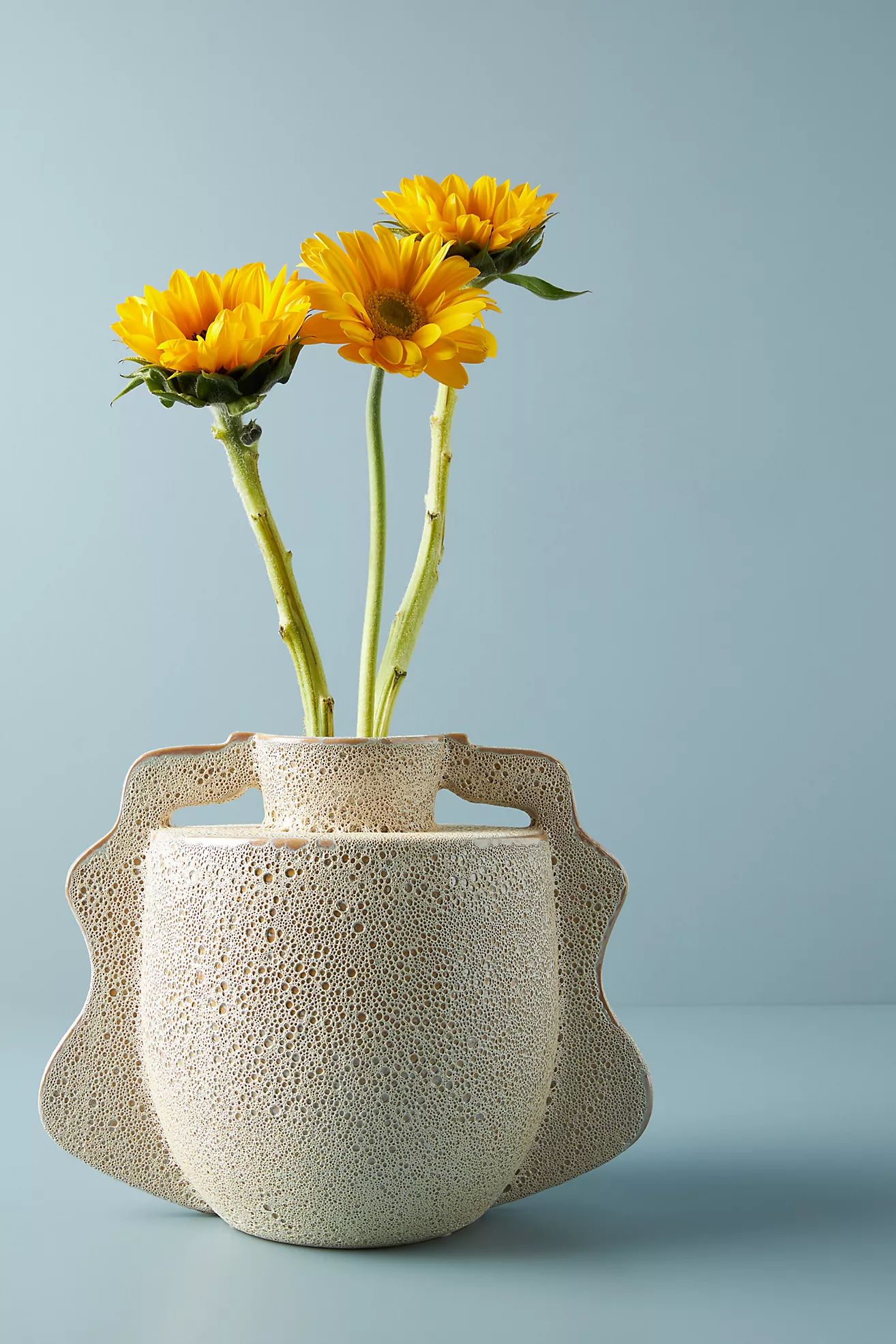 Wavy Vase | Anthropologie (US)