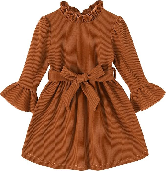 Toddler Girl Fall Winter Dress Long Sleeve Turtleneck Vintage Knit Sweater Dress for Kid Little G... | Amazon (US)