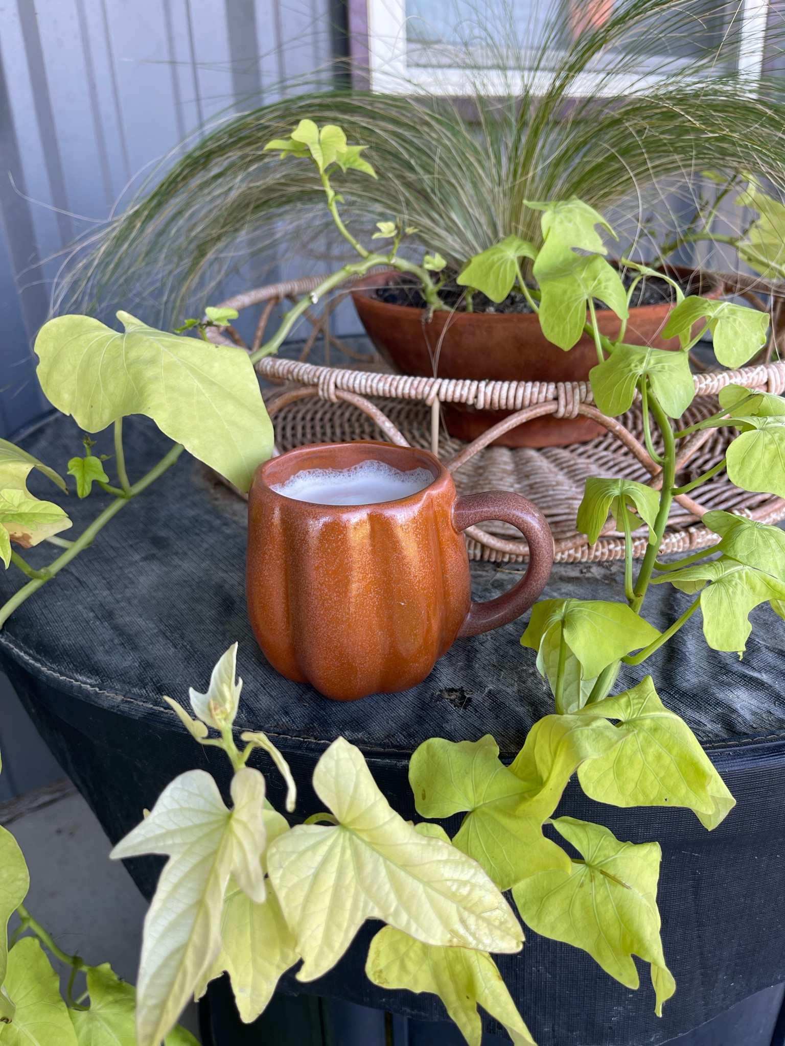 Morning Coffee tastes better in a Fall Mug 🎃 

(Pumpkin shaped coffee mug)

#LTKSeasonal #LTKHome