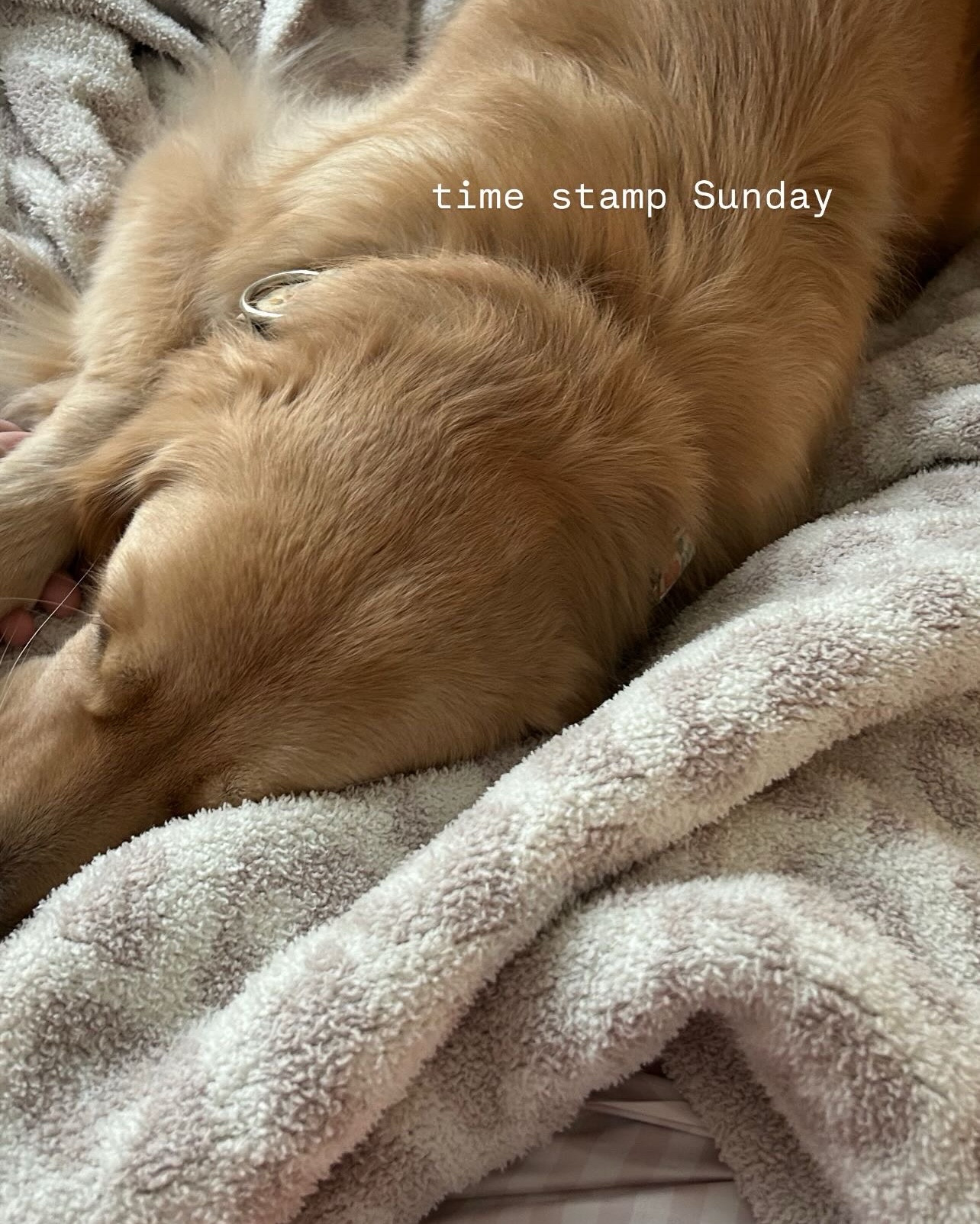 // today’s time stamp Sunday 🫶🏻 // 

#LTKdayinmylife #LTKFindsUnder50 #LTKFindsUnder100