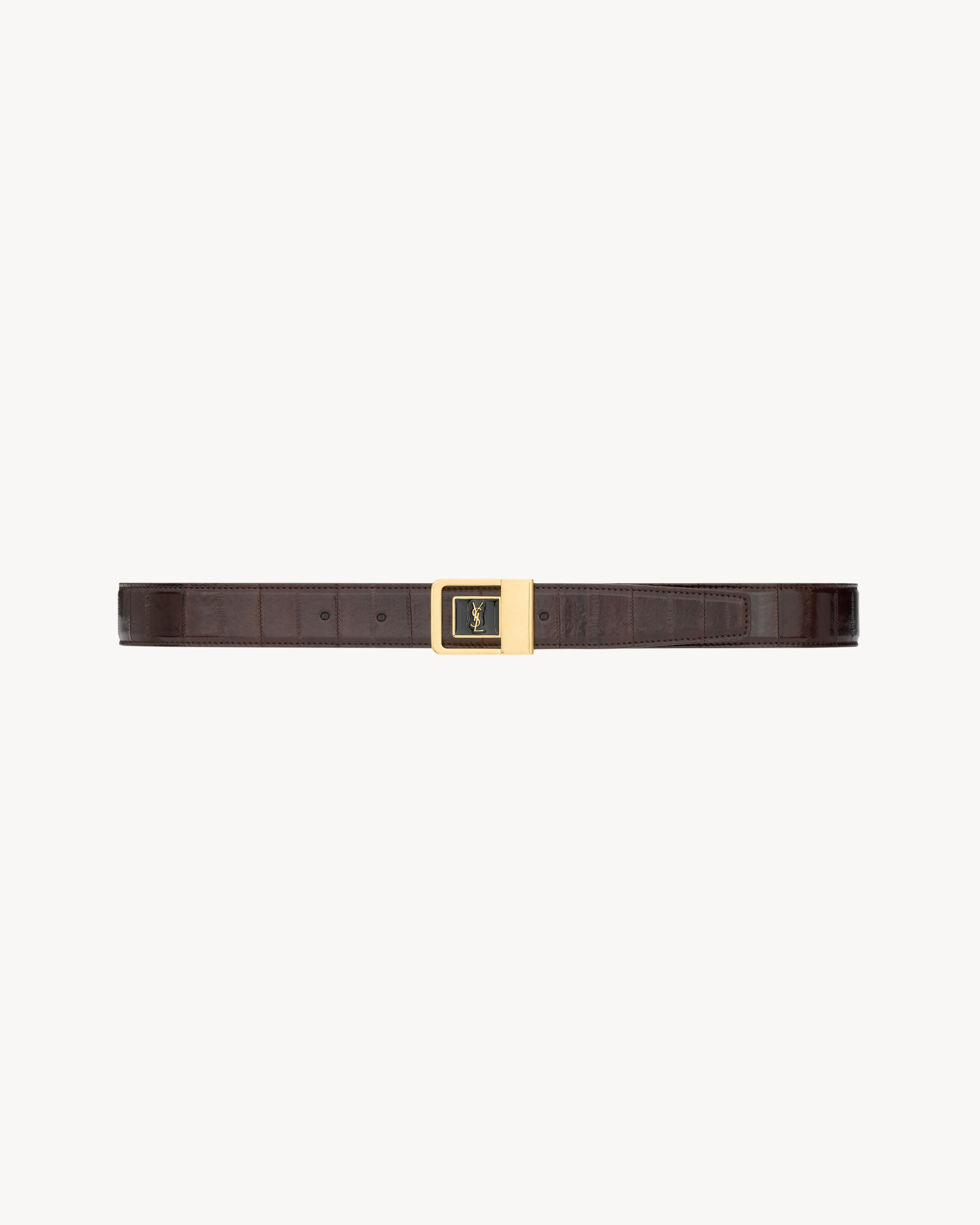 LA 66 buckle belt in eel | Saint Laurent Inc. (Global)