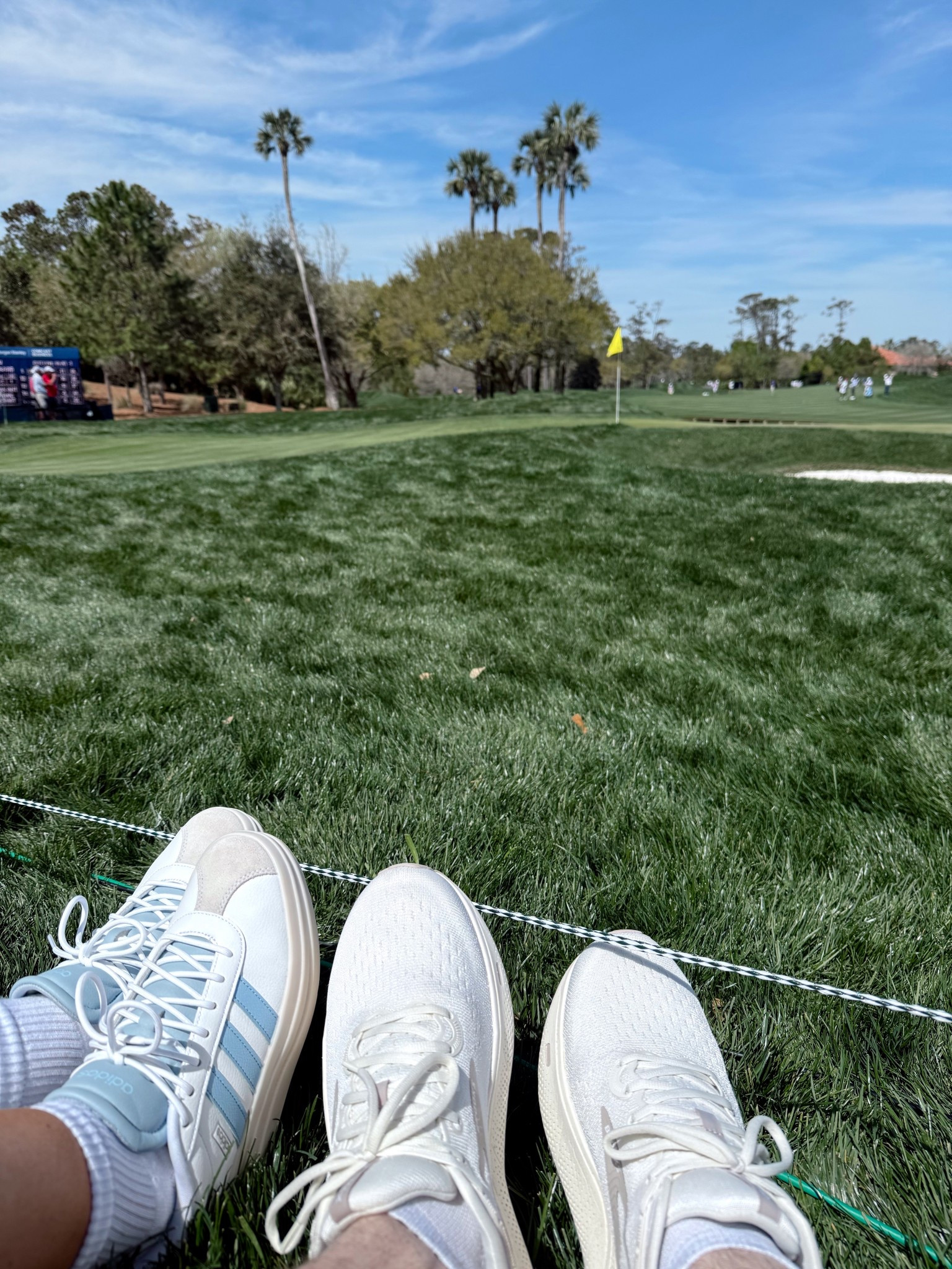 The perfect women’s spring sneaker 🩵

#LTKSeasonal #LTKShoeCrush #LTKSpringSale