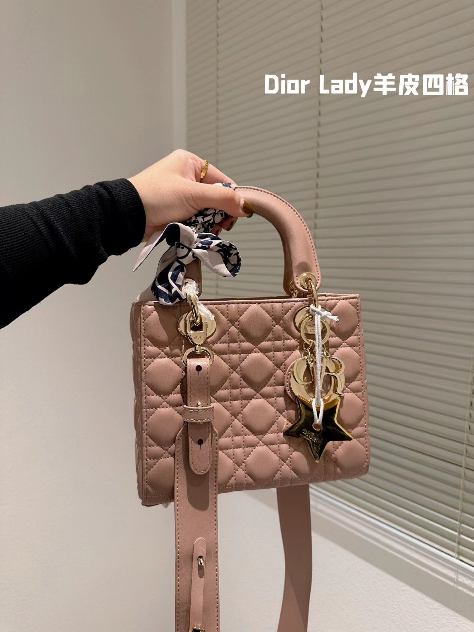 Dior Lady Dior Bag Lambskin Leather Shoulder Bag Handbag Cross Body Crossbody Bag Dior Bag CD Bag Women Fashion Classic Leather Purse Option：DFFG04

#LTKstyletip #LTKitbag #LTKGiftGuide