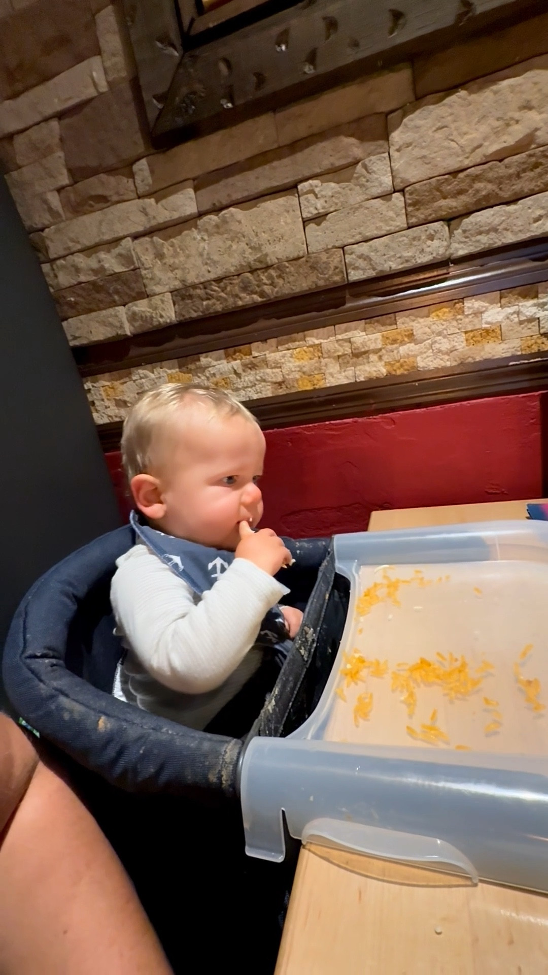 BEST portable high chair 

#LTKBaby #LTKKids #LTKFamily