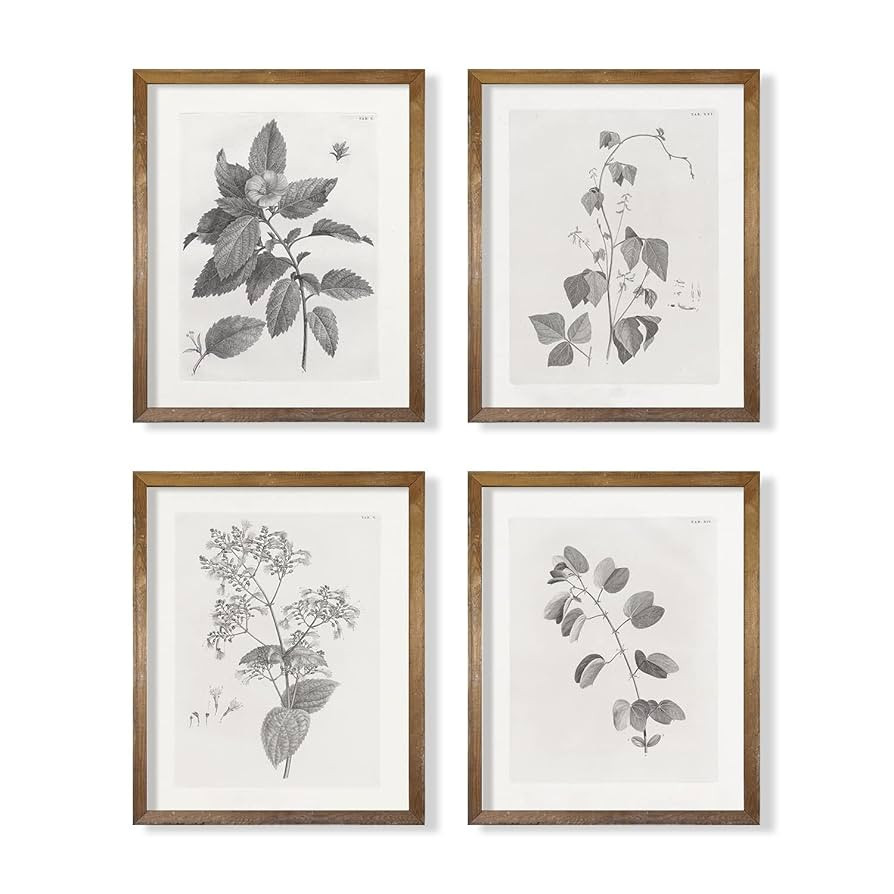 Vintage Farmhouse Botanical Wall Art - Grey Neutral Plant Leaf Sketch - Leave Drawing Etching Rus... | Amazon (US)