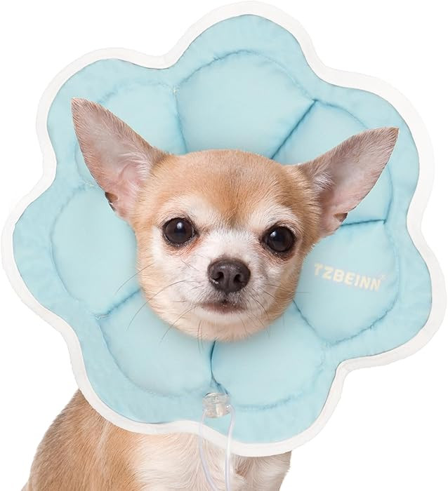 Soft Small Dog Cone Collar Alternative for Small Dogs(Adult Yorkshire Adult Chihuahua Pomeranian)... | Amazon (US)