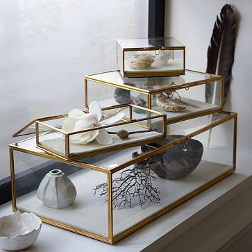 Glass Shadow Boxes | West Elm (US)