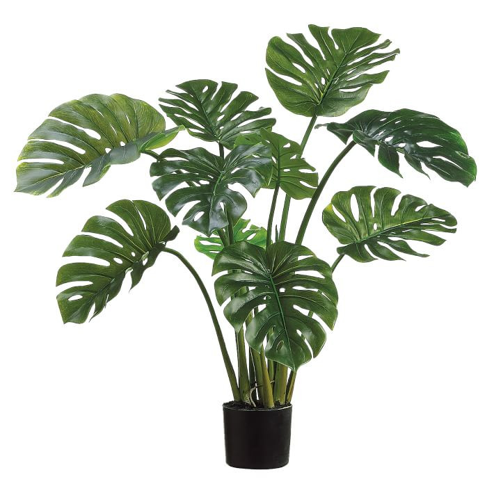 Faux Potted Split Philo Plant | West Elm (US)