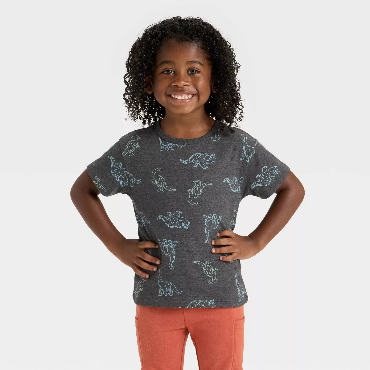 Toddler Boys' Short Sleeve Relaxed T-Shirt - Cat & Jack™ Charcoal 4T | Target
