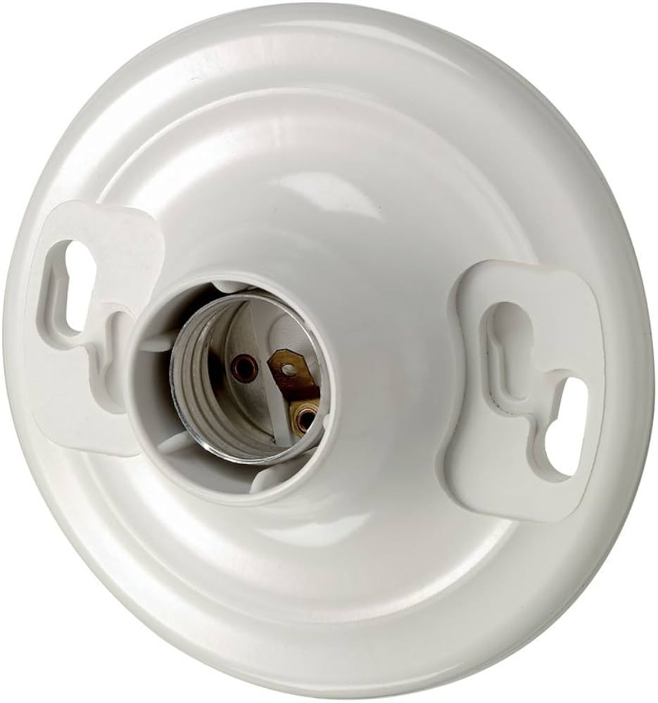 Leviton 8829-CW1 One-Piece Urea Outlet Box Mount, Incandescent Lampholder, White | Amazon (US)