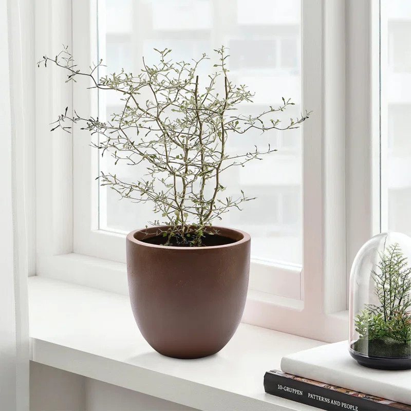 Acushnet Pot Planter | Wayfair North America