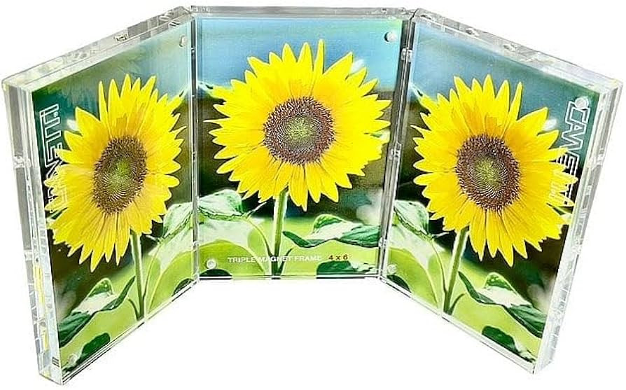 The Museum TRIPLE 4x6 MAGNET FRAME by Canetti(r) - 4x6, TM4646-V | Amazon (US)
