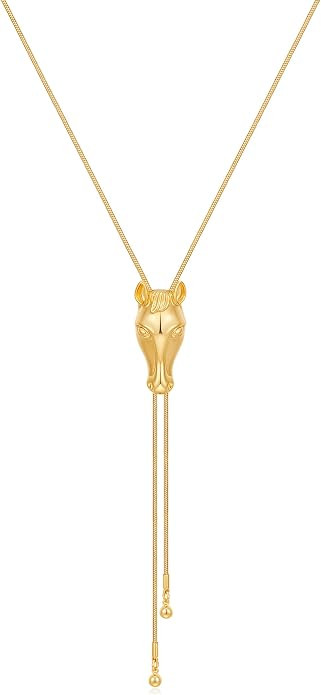 Western Cowgirl Hat Bull Horse Star Turquoise Necklace for Women Cowboy Bolo Tie Accessories Lari... | Amazon (US)